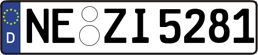 NE-ZI5281