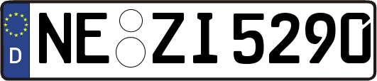 NE-ZI5290