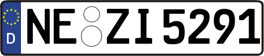 NE-ZI5291