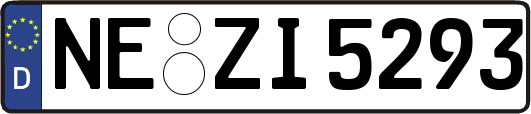 NE-ZI5293