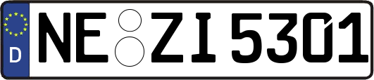 NE-ZI5301