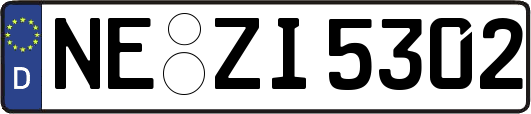 NE-ZI5302