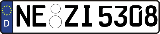 NE-ZI5308