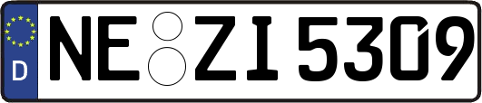 NE-ZI5309