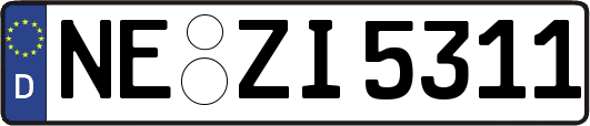 NE-ZI5311