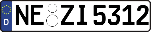NE-ZI5312