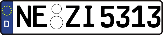 NE-ZI5313