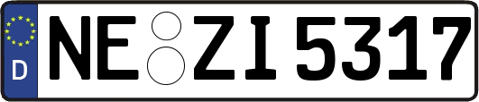 NE-ZI5317