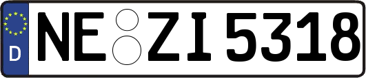 NE-ZI5318