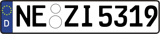 NE-ZI5319