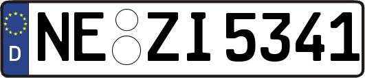 NE-ZI5341
