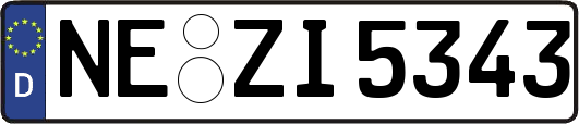 NE-ZI5343