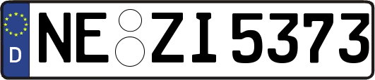 NE-ZI5373