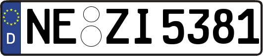 NE-ZI5381