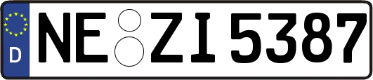 NE-ZI5387