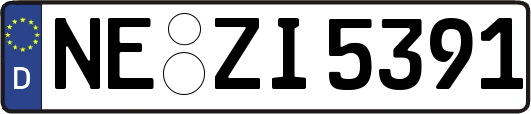 NE-ZI5391