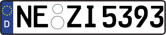 NE-ZI5393