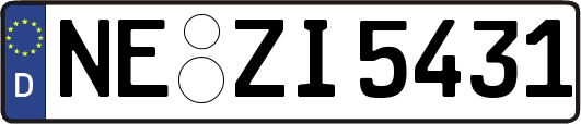 NE-ZI5431