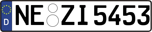NE-ZI5453