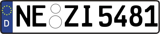 NE-ZI5481