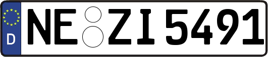 NE-ZI5491
