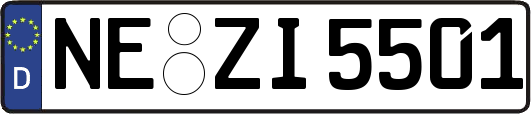 NE-ZI5501