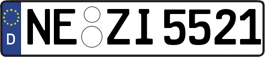 NE-ZI5521