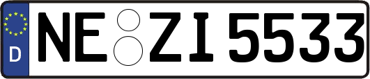 NE-ZI5533