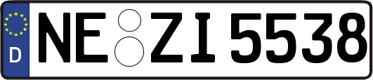 NE-ZI5538