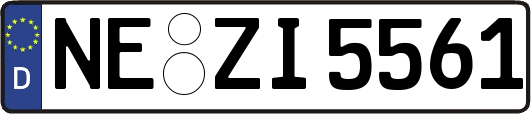 NE-ZI5561