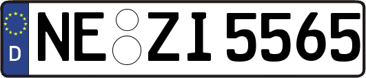 NE-ZI5565