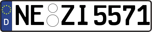 NE-ZI5571