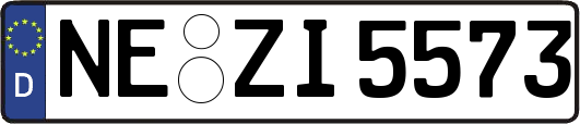 NE-ZI5573
