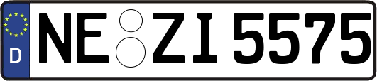 NE-ZI5575