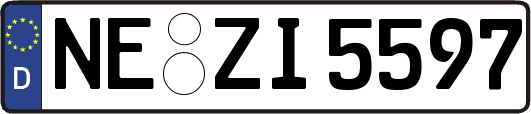 NE-ZI5597