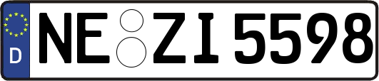 NE-ZI5598