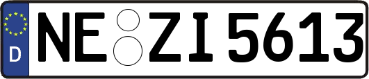 NE-ZI5613