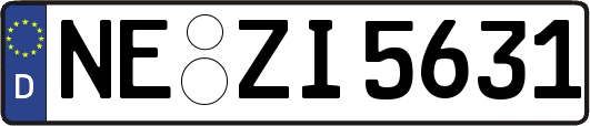 NE-ZI5631