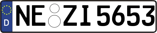 NE-ZI5653
