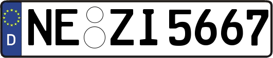 NE-ZI5667