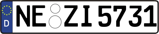 NE-ZI5731