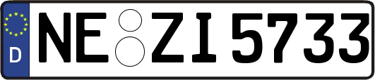 NE-ZI5733