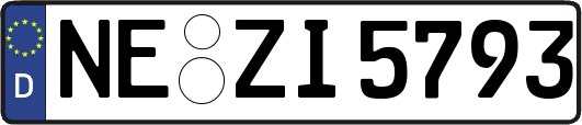 NE-ZI5793