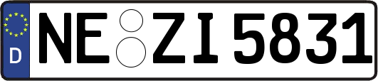 NE-ZI5831