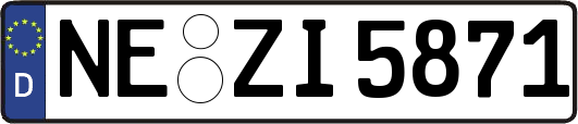 NE-ZI5871