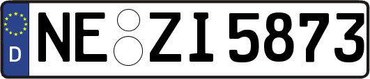 NE-ZI5873