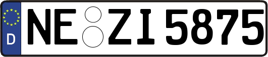 NE-ZI5875