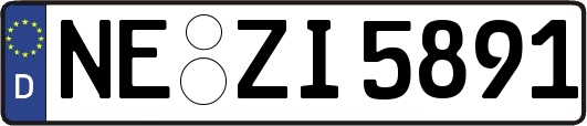 NE-ZI5891