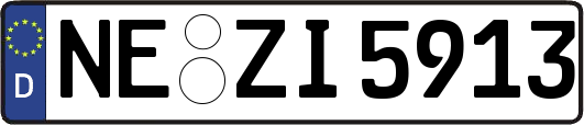 NE-ZI5913