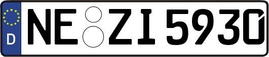 NE-ZI5930
